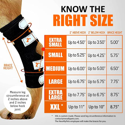 NeoAlly Rear Leg Hock Brace Large Dogs Reflective Support Long Version