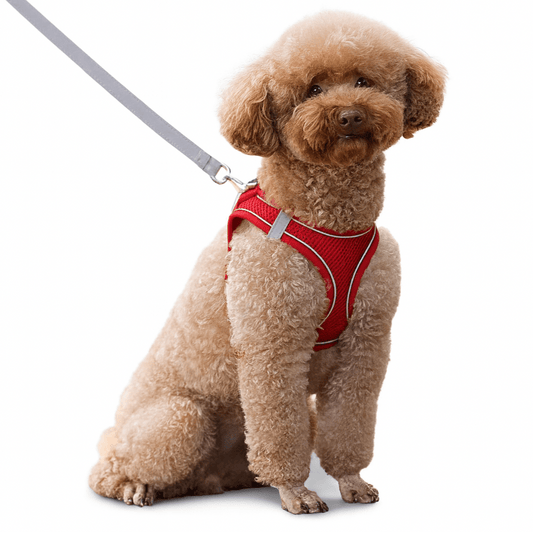 Adjustable Reflective Puppy Harness Leash Set Breathable Soft Pet Vest