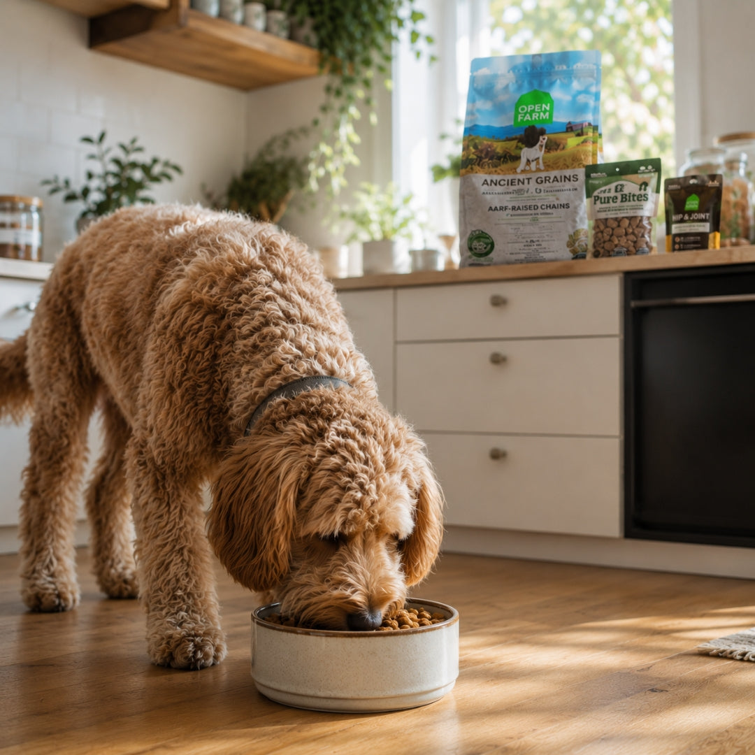 Dog eating from a bowl with pet food packages in the background