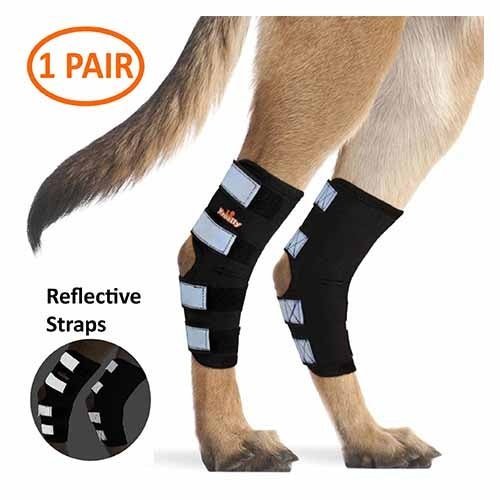 NeoAlly Rear Leg Hock Brace Large Dogs Reflective Support Long Version