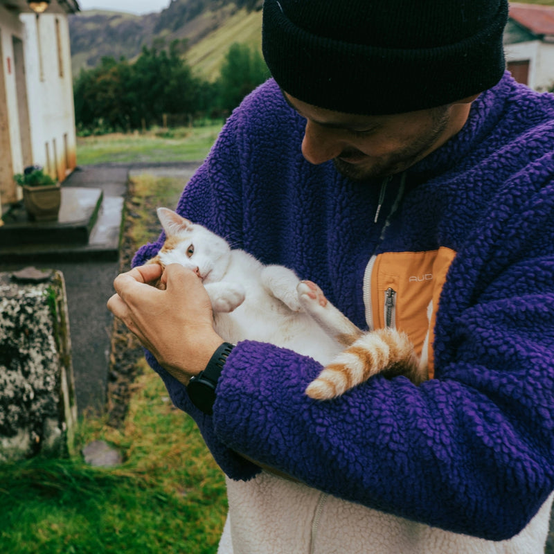 Person holding a white and orange cat outdoors with a scenic background