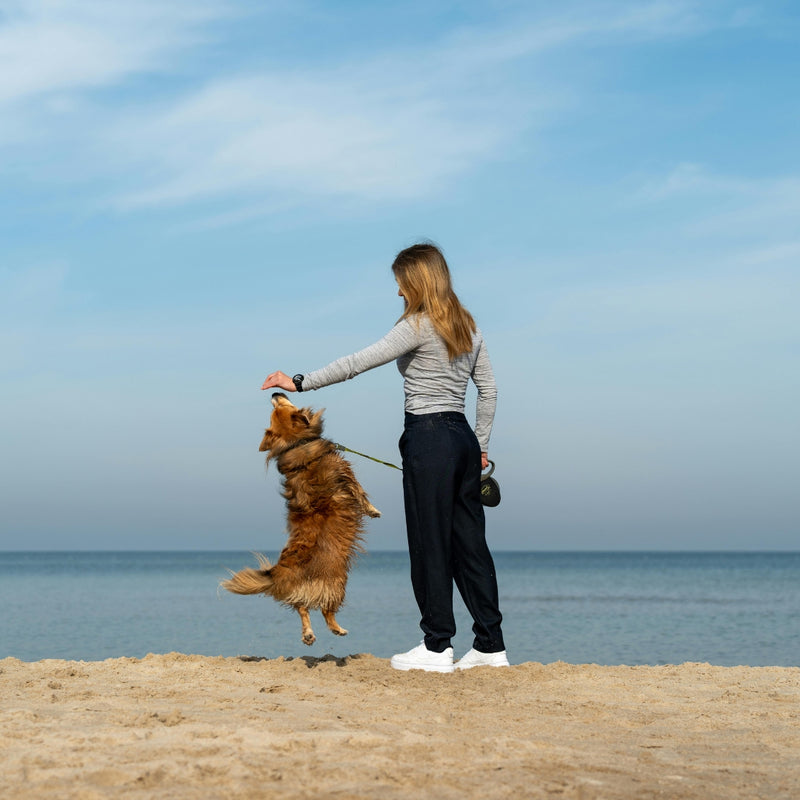 Woman standing on a beach with a dog, both looking towards the ocean.