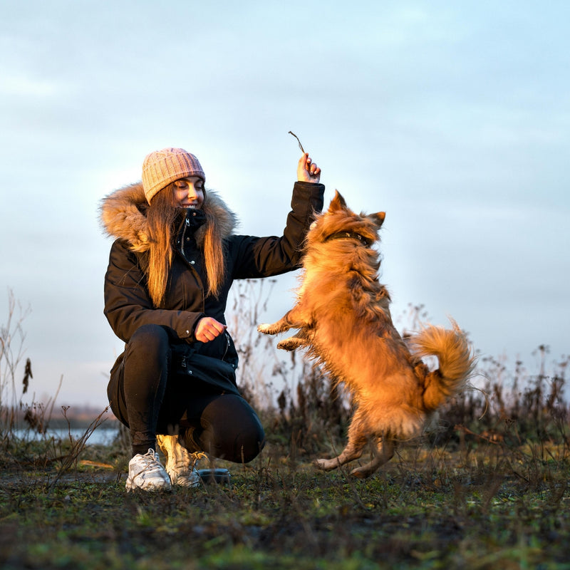 Woman playing with a dog in an open field